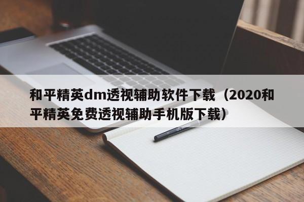 和平精英dm透视辅助软件下载（2020和平精英免费透视辅助手机版下载）