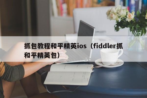 抓包教程和平精英ios（fiddler抓和平精英包）